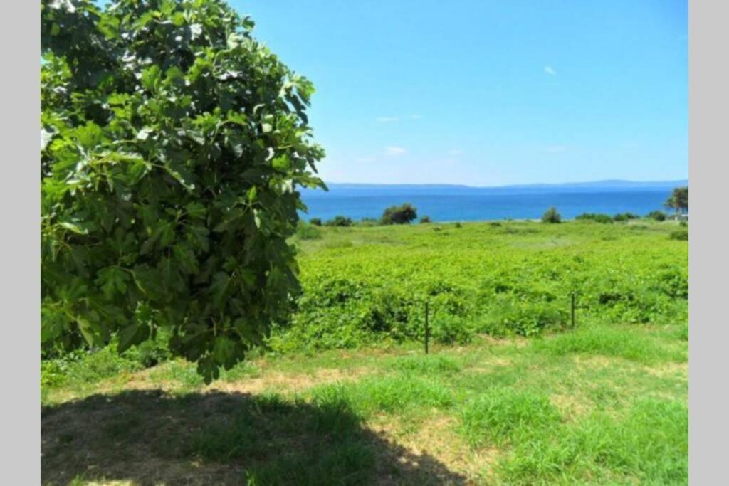 Summerhouse Calypso Сплит Экстерьер фото